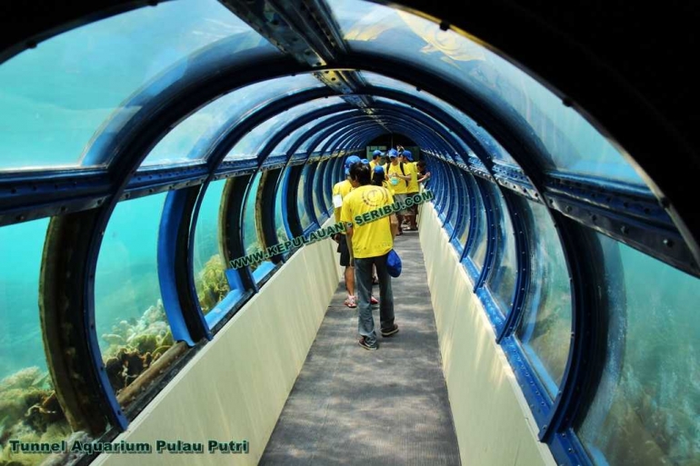 pulau-putri-tunnel-aquarium-jpg-599e9472e728e4354c13b552.jpg