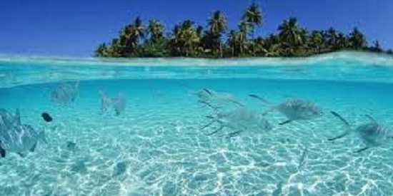 Penilaian Sumber Daya Alam Kompasiana Com