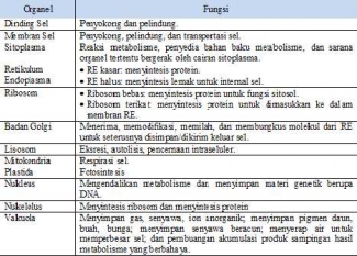 Pertahanan Eksistensi Sel Prokariotik Yang Lebih Mudah Daripada Sel Eukariotik Halaman 1 Kompasiana Com