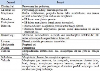 Pertahanan Eksistensi Sel Prokariotik Yang Lebih Mudah Pertahanan Eksistensi Sel Prokariotik Yang Lebih Mudah