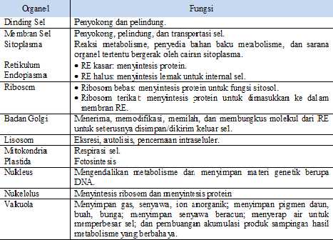 Tabel Struktur Dan Fungsi Sel Hewan Dan Tumbuhan