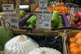 Kelapa Thailand di pasar di Melbourne dijual seharga Rp 35 ribu per kelapa. Photo: ABC Rural: Cath McAloon