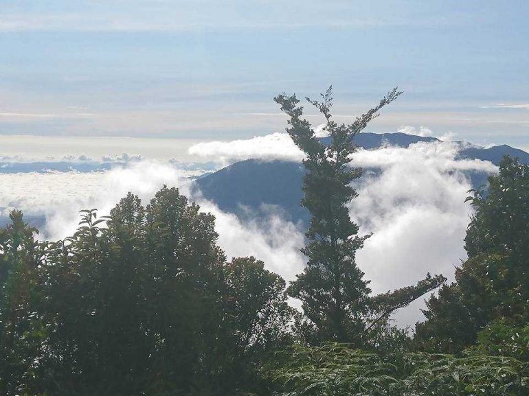 Puncak Marapi diselimuti kabut dilihat dari puncak Singgalang (dokpri)