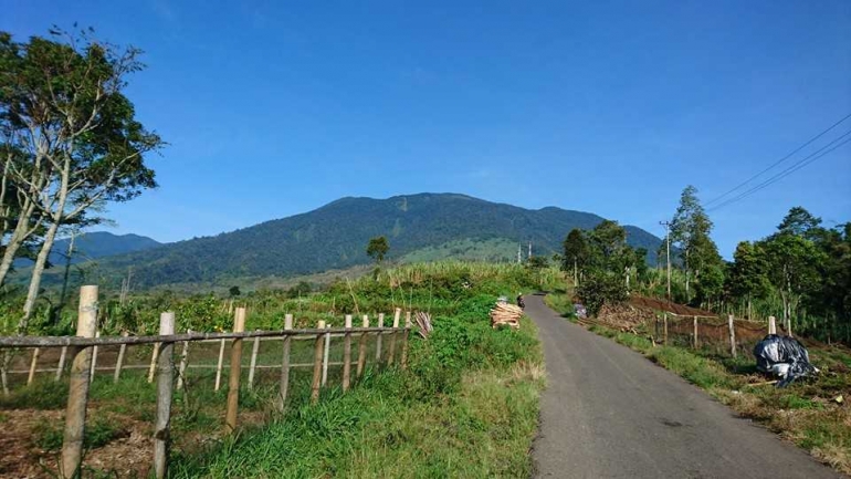 Jalan menuju titik awal pendakian (dokpri)