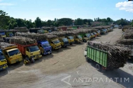 Antrian truk untuk proses giling (sumber: AntaraJatim.com)