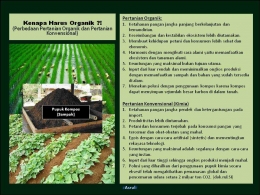 Perbedaan Pertanian Organik dan Pertanian Konvensional (Dok-Asrul)