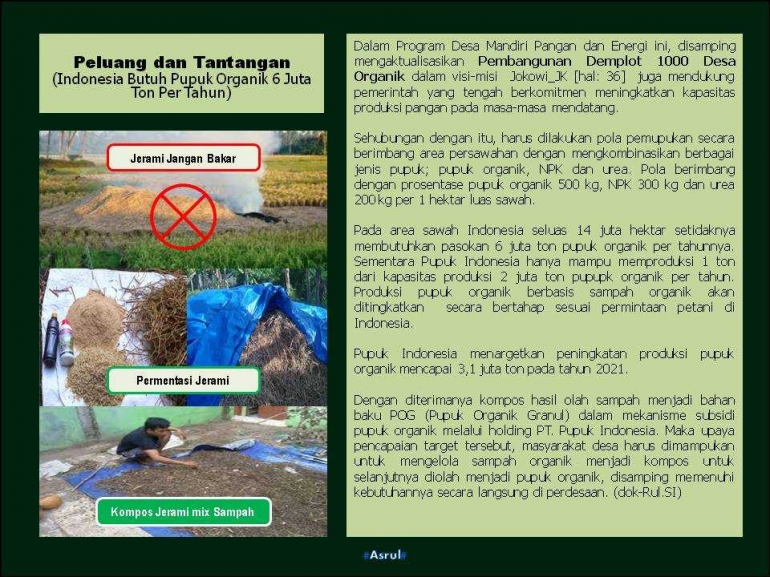 Peluang dan Tantangan Pertanian Organik Indonesia (Dok-Asrul)