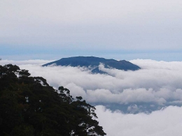 Puncak gunung Marapi berselimut awan dilihat dari Cadas gunung Singgalang (Dokumentasi Pribadi)