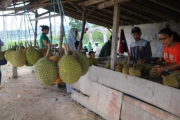 Jangan lupa nyicip durian. | Dokumentasi Pribadi
