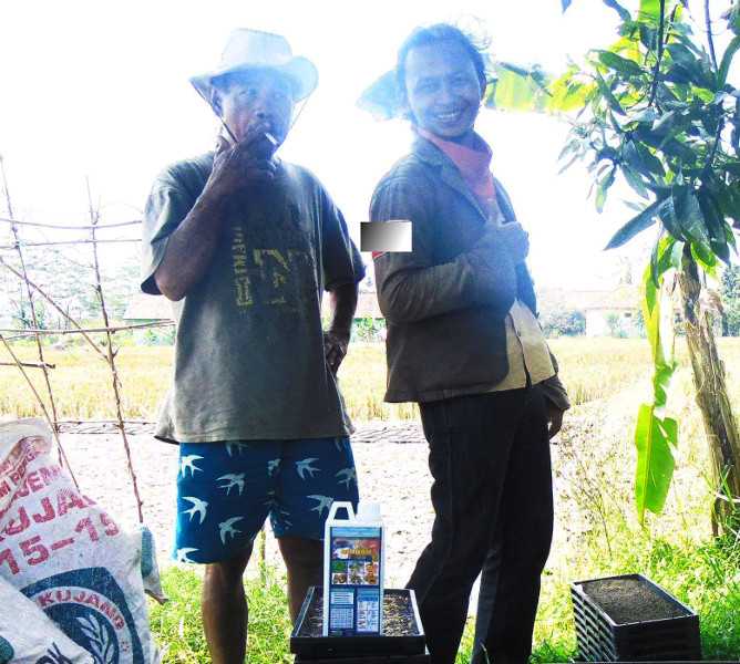 sahabat Petani meningkatkan produski padi 