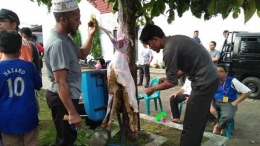 Pengungsi Rohingya ikut membantu pelaksanaan pemotongan hewan Kurban di Medan (dok panita Kurban Puza 2, 2/9/2017)
