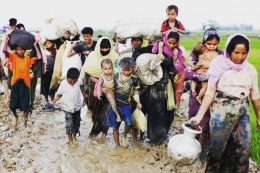 Masyarakat Etnik Rohingya melewari persawahan menuju perbatasan Myanmar-Banglades. Sindonews