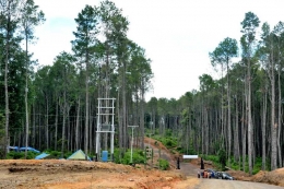 Suasana pembukaan lahan hutan Siosar menjadi pemukiman, dilakukan dengan cepat atas bantuan TNI. Sumber Foto: medanwisata.com
