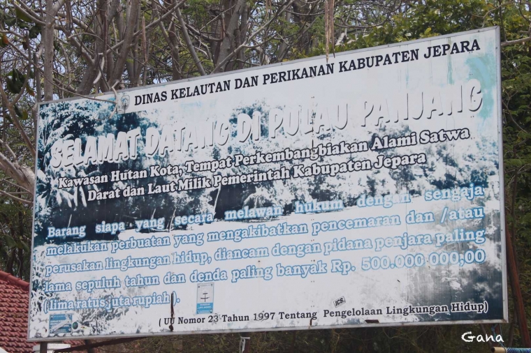 Dinas kelautan dan perikanan Kab.Jepara harus bertindak (dok.Gana)