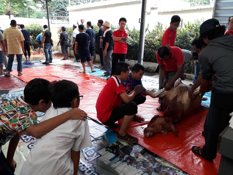 Dua siswa Sekolah Indonesia Kuala Lumpur memperhatikan proses penyembelihan hewan kurban di SIKL, Senin (4/9/2017). Dok. Foto/TH Salengke