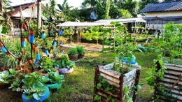 Kebun Sayur Aneka Wadah Tanam (dok pri)
