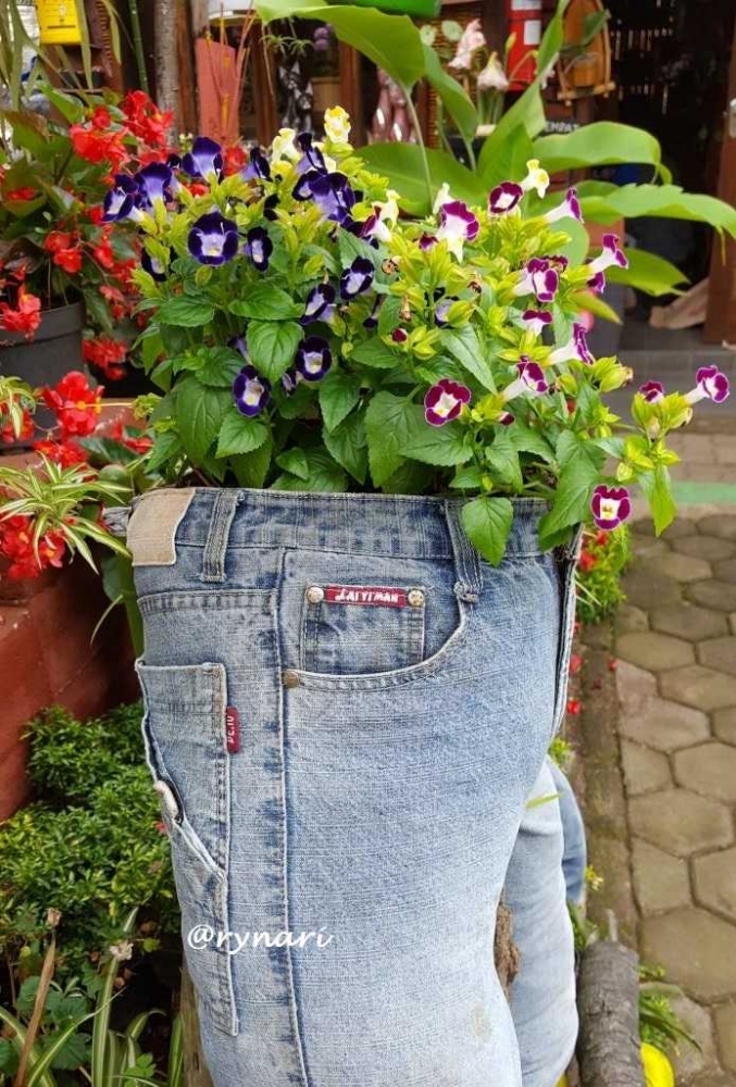 Seni Berkebun dengan Memadukan Wadah Seadanya oleh Seni Berkebun dengan Memadukan Wadah Seadanya oleh