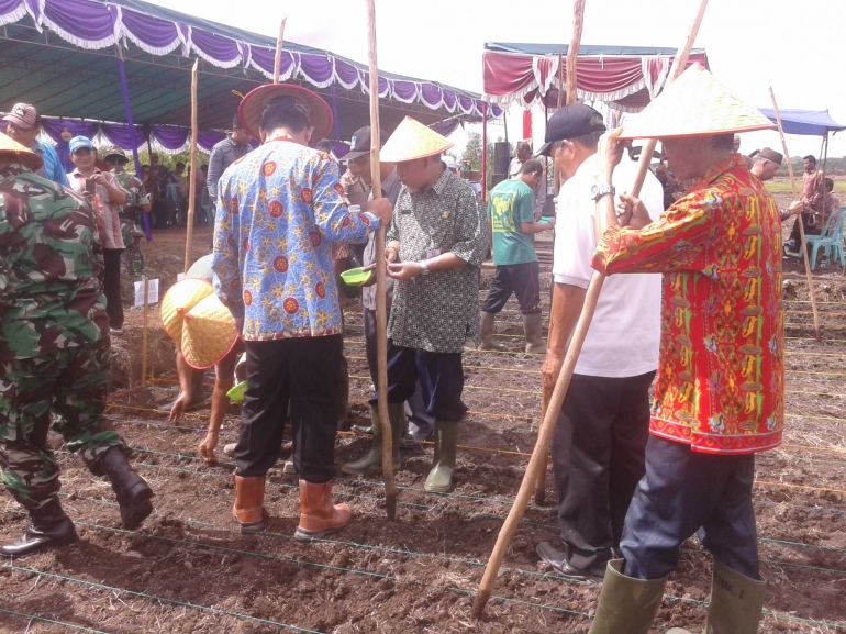 Asisten Perekoomian dan Pembangunan melakukan penanaman padi. (foto. Edo)