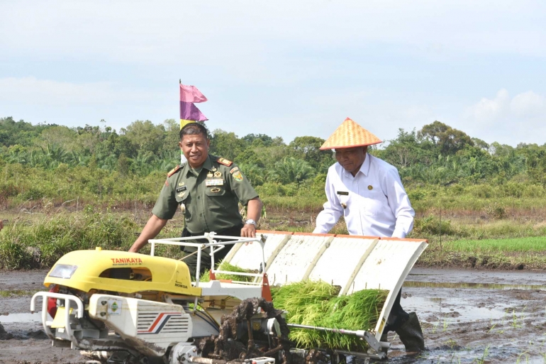 Bupati Bangka menanam padi menggunakan mesin. (dok. Humas Pemkab Bangka)