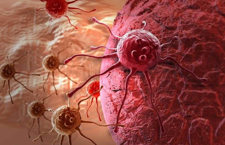 Sel kanker dan virus kanker (statnews.com)