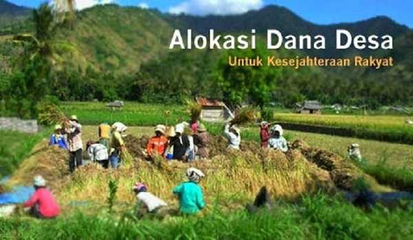 Stop Pembabatan Lahan Sawah, Bangun Ekonomi Agrikultur