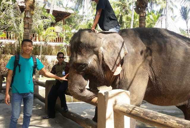 Lombok Elephant Park. Dok.pribadi