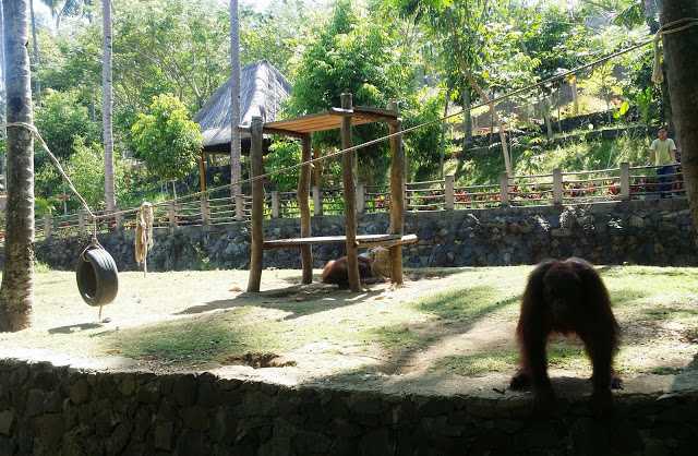 Lombok Elephant Park. Dok.pribadi