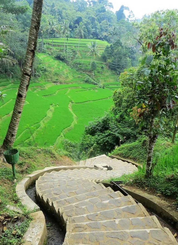 Petualangan Naik Angkutan Umum ke dan dari Kampung Naga  Petualangan Naik Angkutan Umum ke dan dari Kampung Naga