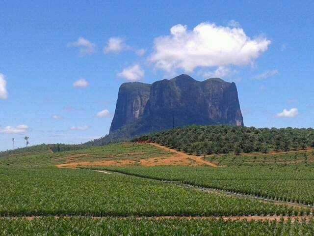 Bukit Batu Daya yang dilihat di sudut lain mirip Gantang. Foto dok. M. Adon Baya