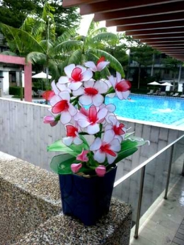 Bunga hias hasil kreasi Toko Online IsaNurr (Sumber: Darisah)