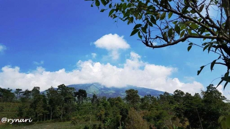 Memandang Merbabu dari Desa Ngargoloko (dok pri)