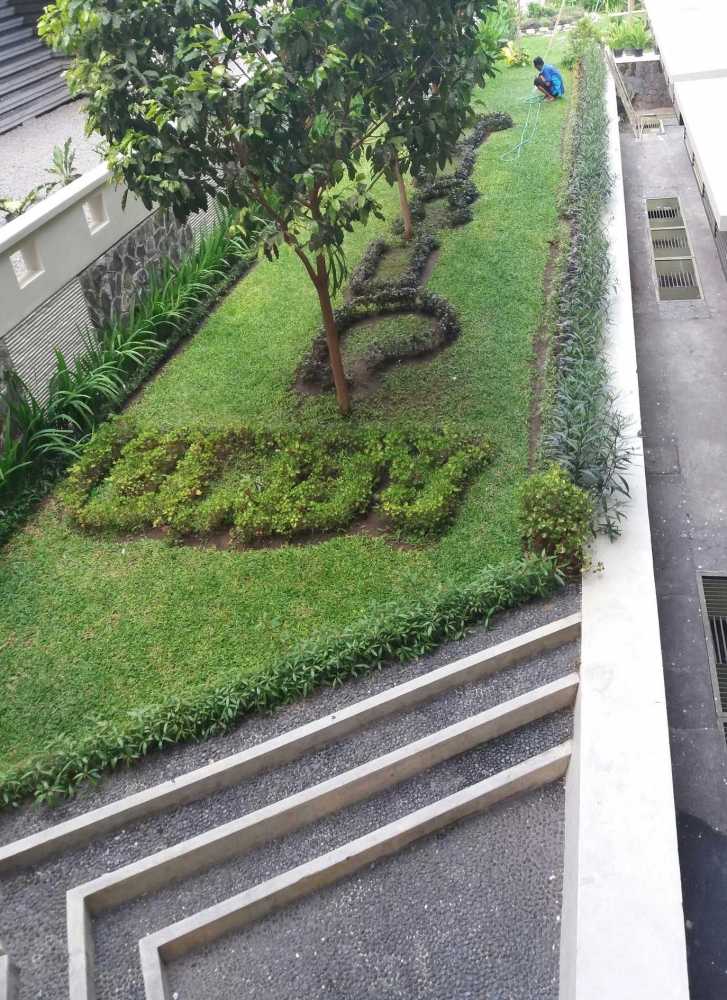 Taman di kampus FISIP UAJY yang dirawat oleh petugas CS.