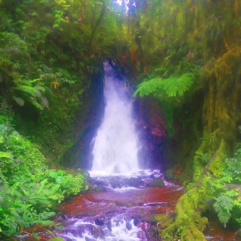 Air Terjun Ranamese (Dok. Pribadi)