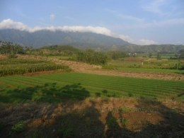 Lokasi area persawahan Desa Kamal Larangan Brebes|http://www.kompasiana.com/yakusa/59c5d6f59002c14ef87e4352/beraneka-ragam-penyakit-setya-novanto