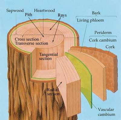 doitpoms.ac.uk