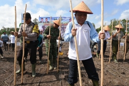 Bupati Bangka, Tarmizi Saat, melakukan penanaman padi di Puding Besar. (Dok. Humas Pemkab Bangka)