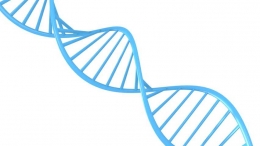 Struktur heliks DNA (shuttershock.com)