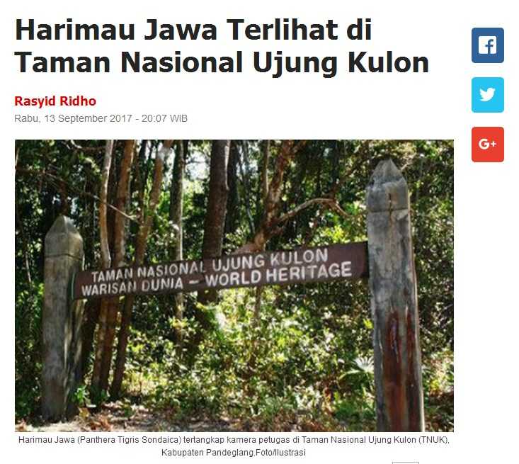 harimau-jawa-terlihat-di-ujungkulon-59c9a9f56c139e292d6334b2.jpg