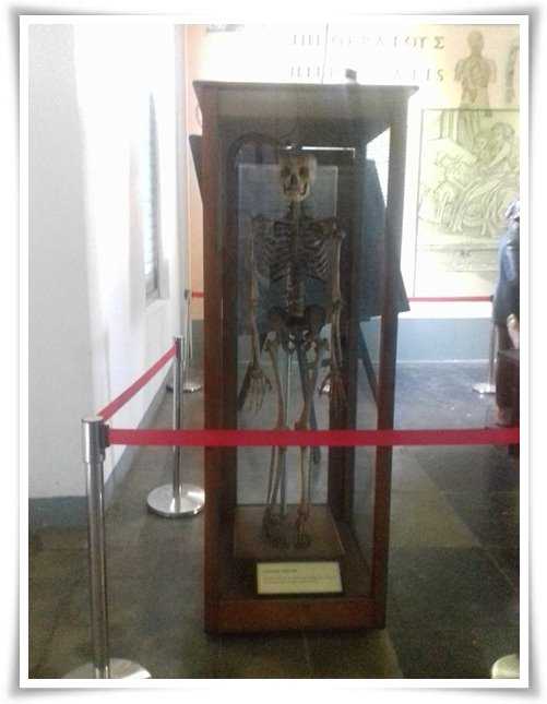 Kerangka manusia berusia lebih dari 100 tahun di Museum Kebangkitan Nasional (Dokpri)