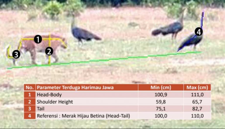 parameter-macan-tutul-belang-59c9b434b6140125d47827b2.png