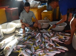 Ikan di tempat Kim Fung (foto: Kamaruddin Azis)