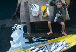 Hendrik dan ikan tangkapannya (foto: Kamaruddin Azis)