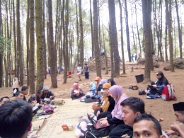 Hutan Pinus Yogyakarta. Dok.pribadi
