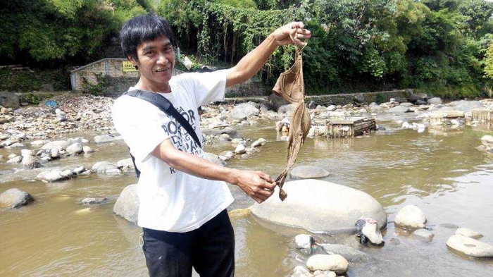 Bra Bekas di sekitar Delta Pulo Geulis