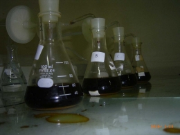 Peralatan Laboratorium dalam Fermentasi Etanol (Foto Dokumen Pribadi/Hendro Santoso)