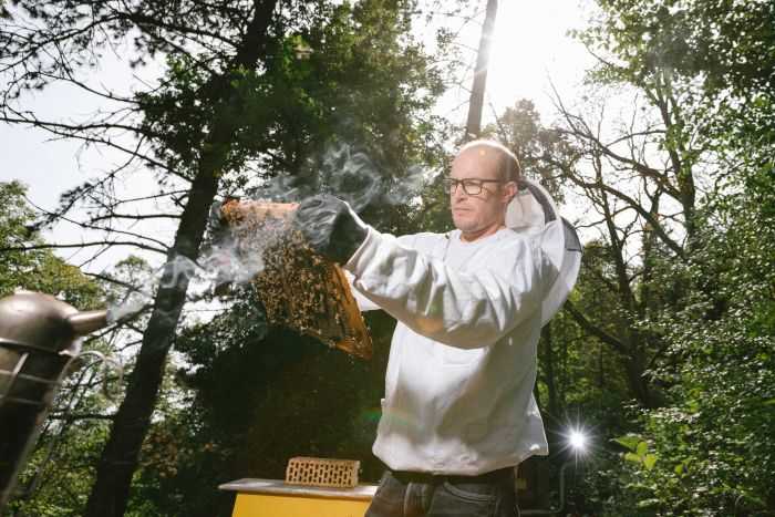 Salah satu peneliti yang menelusuri jejak residu pestisida pada lebah. Photo: Guillaume Perret, ABC
