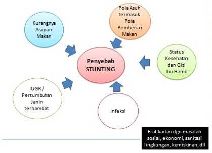 sumber : Dinkes Prov. Maluku