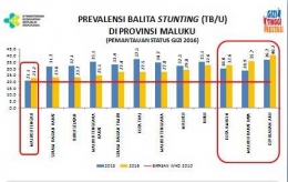 Data Dinas Kesehatan Provinsi Maluku