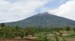 Gunung Kerinci adalah habitat harimau Sumatera (Dokpri)