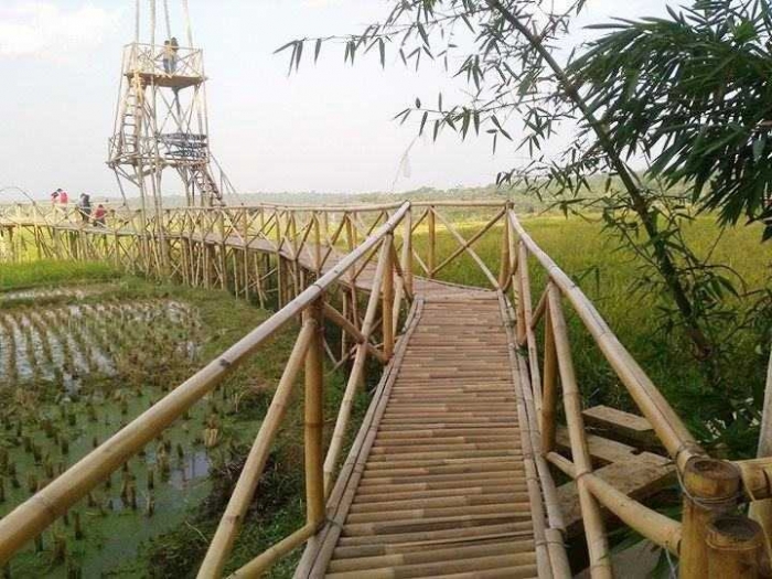 Untuk mengambil gambar di sini bayar Rp 5.000 (foto: dok pri)